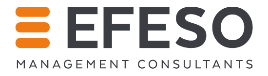 EFESO Management Consultants